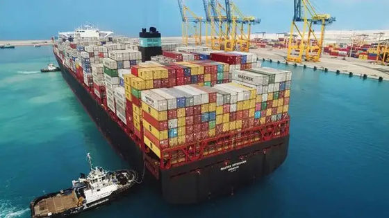 Китай к доставке контейнера перевозки океана 20GP Великобритании LCL 40GP LCL