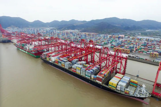 Международный товароотправитель перевозки Китай океана к Австралии