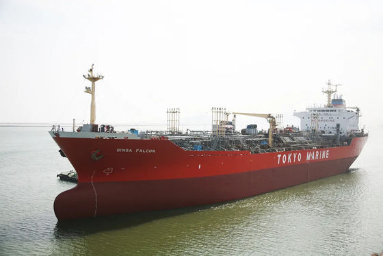 Доставка моря груза глобального импорта экспорта товароотправителя Китая международная