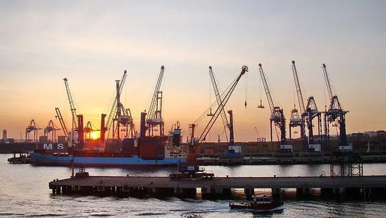 Китай к еженедельнику доставки перевозки океана товароотправителя перевозки океана Индии международному