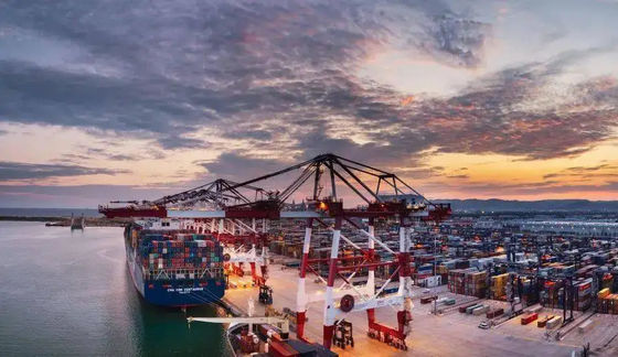 Товароотправитель перевозки океана товароотправителя перевозки моря международный от Китая к Вьетнаму