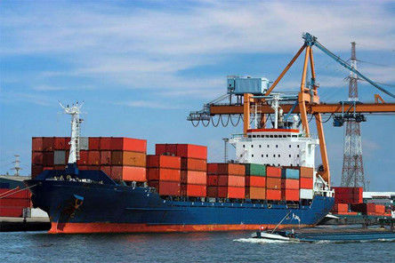 Опытная дверь к препровождению перевозки моря двери обслуживает Китай к США