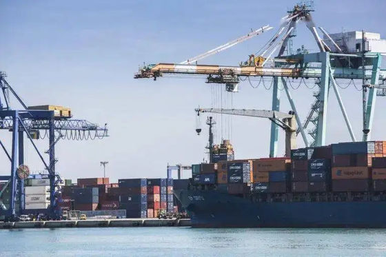 качество Китай к товароотправителю перевозки моря доставки океана Малайзии международному фабрика